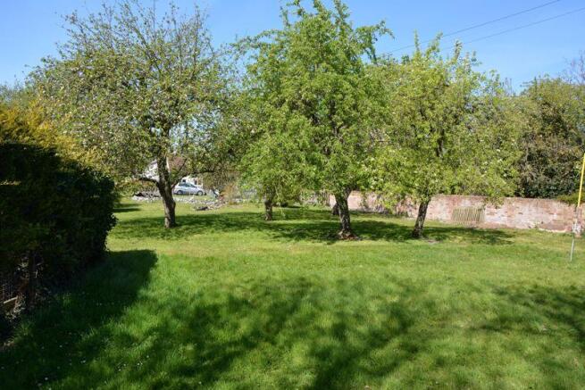 Photo 27