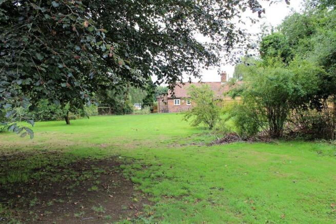 Garden area