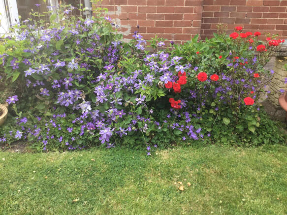 Garden in Flower c