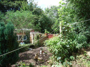 Rear garden area