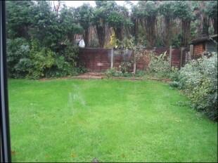 back garden