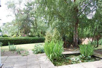 Terrace and pond
