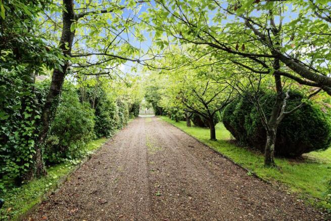 Driveway
