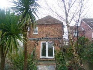 Rear Elevation