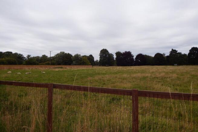 Field Views
