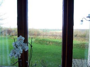 Picture 7