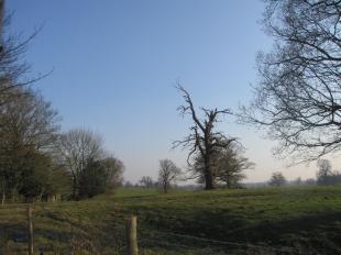 Outlook From Front Of Property