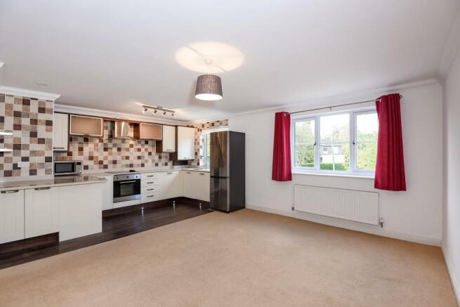 Living Area/Kitchen