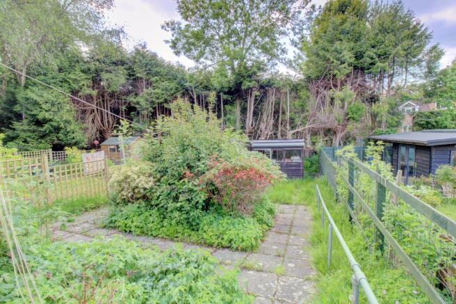 Garden 2