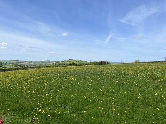 Photo 44