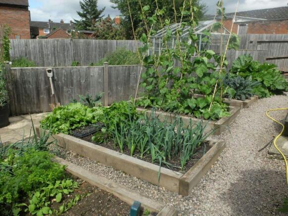 Vegetable Garden