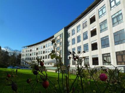 Britannic Park, Moseley