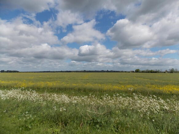 Meadow Walks