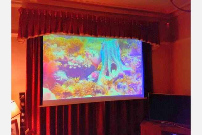 Family / Cinema Room