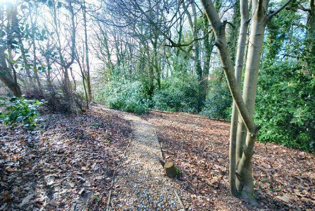 Woodland Path