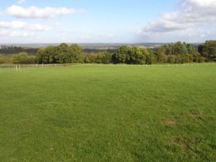 the view