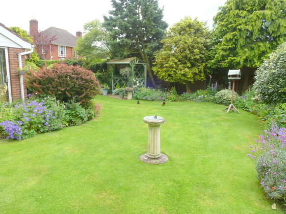 Photo 15