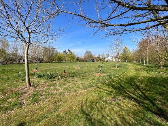 IMG-20250414-WA00...