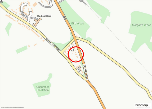 Promap-3012659-3110654-750400-1.png