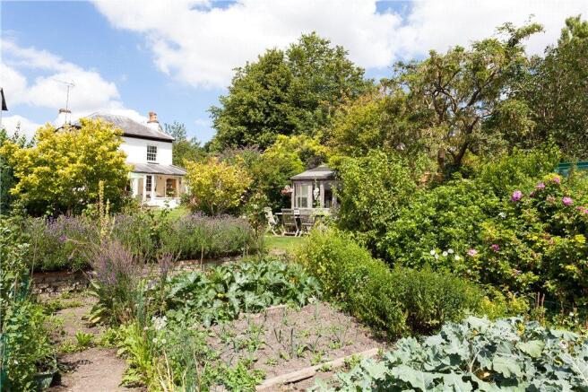Vegetable Garden