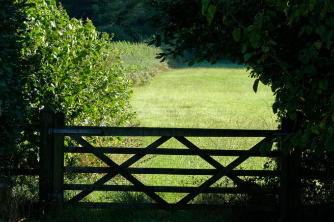 Photo 42