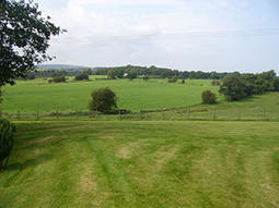 Gardens