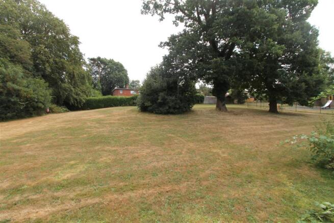 Field.JPG