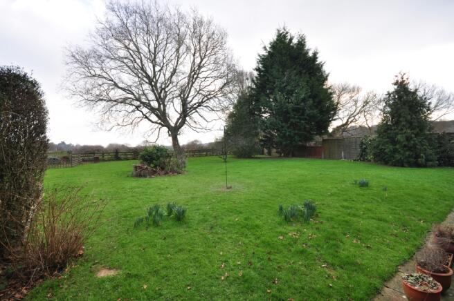 Rear Garden1