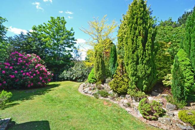 Side Garden