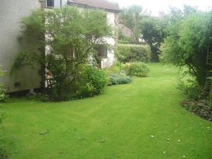 Rear Garden 2