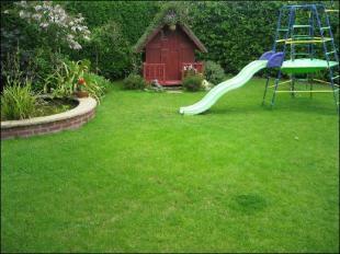 3rd View of Garden