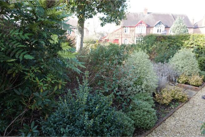 Side Garden