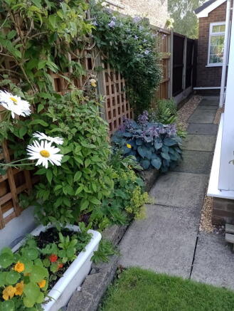 Photo 29