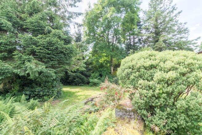 Garden at Front