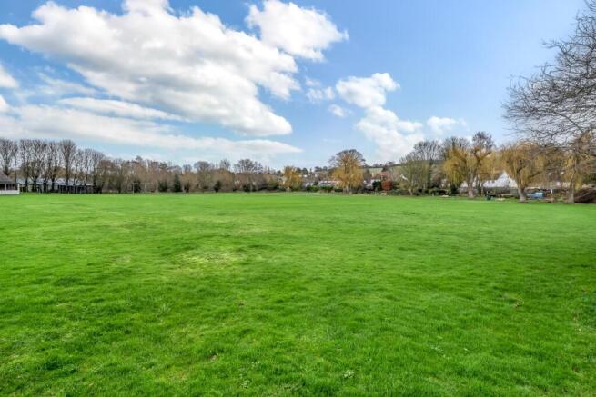 Cricket Pitch