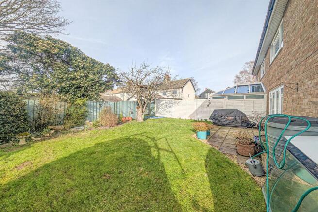 PXL_20260217_113839272 back.jpg