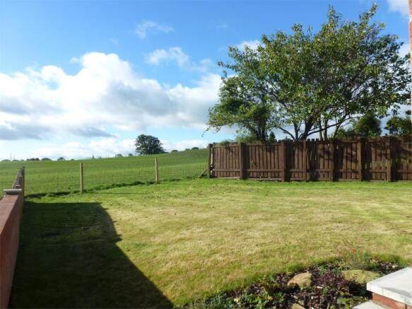 Woodifield 10