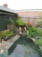 Photo 29