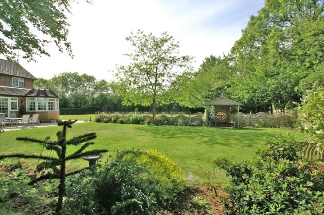 Photo 13