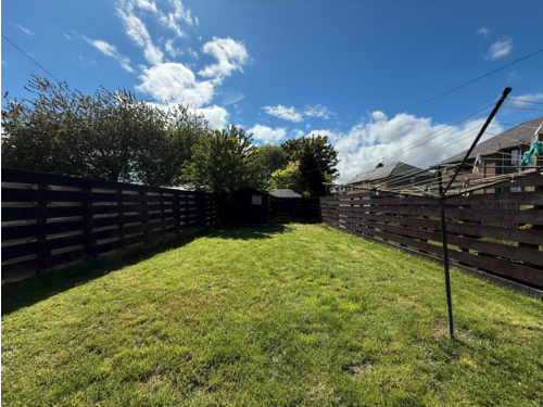 Back Garden