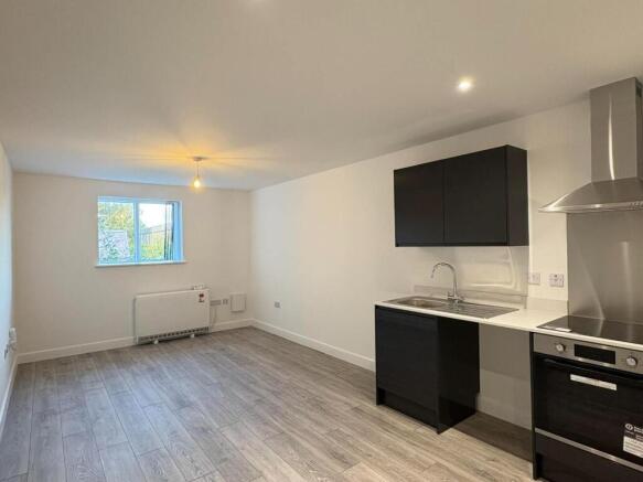 Kitchen and Living  (2).jpg