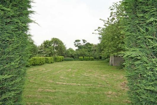 Rear end of garden