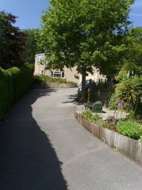 Photo 8