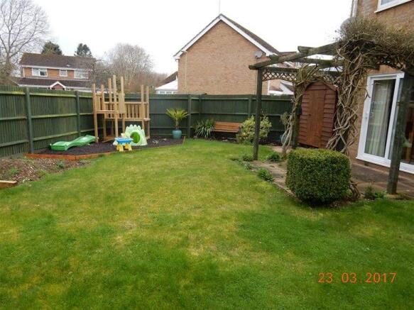 Photo 11