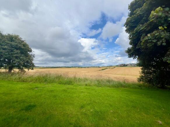 Side View Over Fields