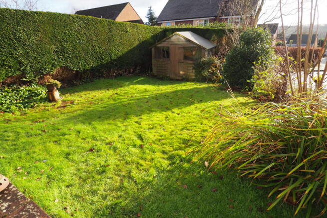 Photo 11