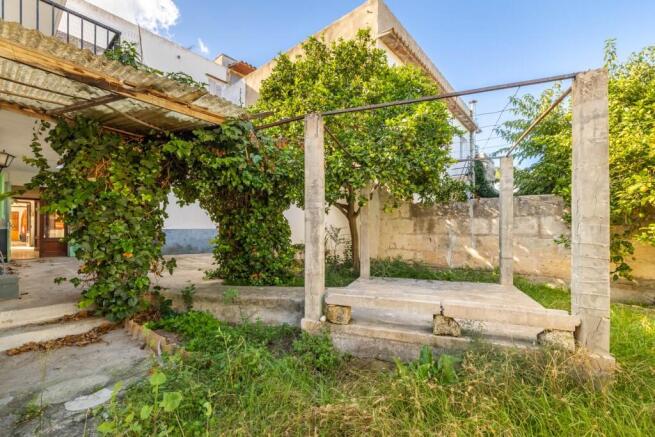 Garden (1)