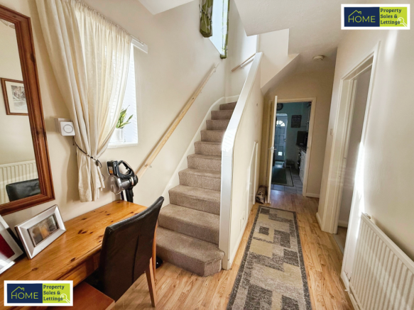 editedimage-a173df60-fab4-42eb-96f7-21a34b490baa 2