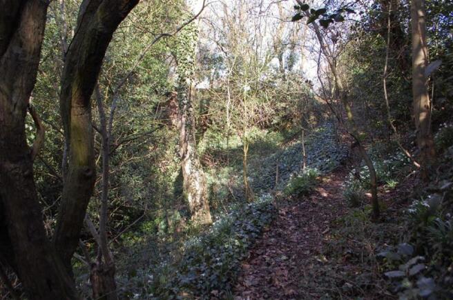 WOODLAND