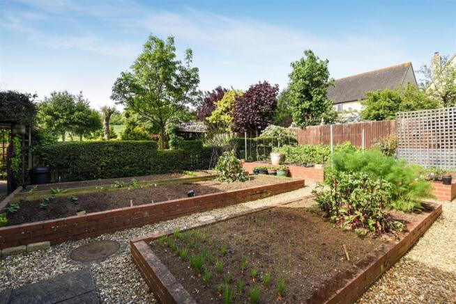 Vegetable Garden